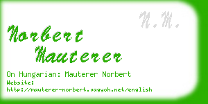 norbert mauterer business card